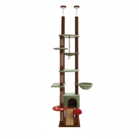 AMT0249 Marron Vert sauge