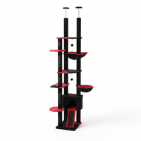 AMT0249 Noir Rouge