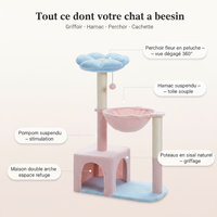 Arbre fleuri - Anatomie