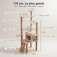 B-12 170cm - Infographique