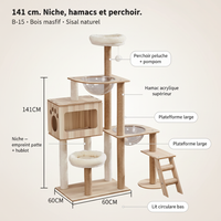 B-15 141cm - Infographique
