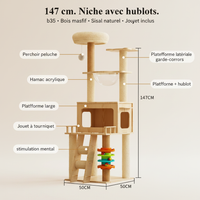 b35 147cm - Infographique