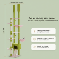 Cactus 229cm - Dimensions