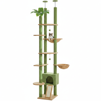 Cactus 229cm - Fond blanc Green
