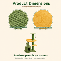 Cactus 4 niveaux - Matières