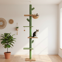 Cactus sol-plafond vert - En situation
