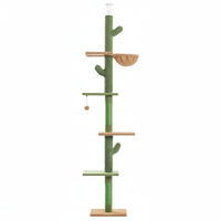 Cactus sol-plafond vert - Fond blanc