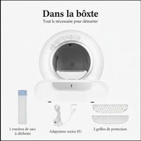Entrée large - Dans la boîte