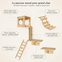 Grand parcours - Anatomie