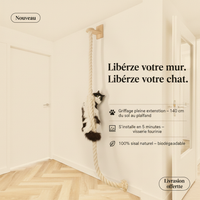 Griffoir - Magazine