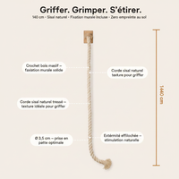Griffoir mural - Anatomie
