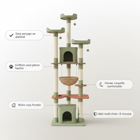 Infographique Caractéristiques AMT0249
