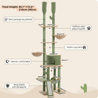 Infographique Caractéristiques