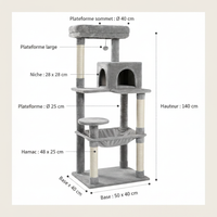 Infographique Dimensions 5 niveaux