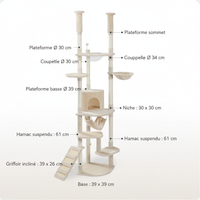 Infographique Dimensions AMT0119