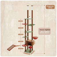 Infographique Dimensions AMT0249
