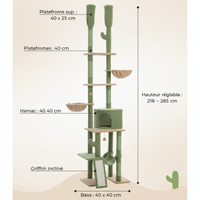 Infographique Dimensions