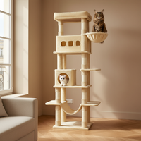Maine Coon 170cm - Ambiance