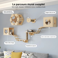 Parcours mural - Anatomie