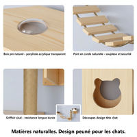 Parcours mural - Matières