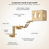 Parcours pin - Anatomie
