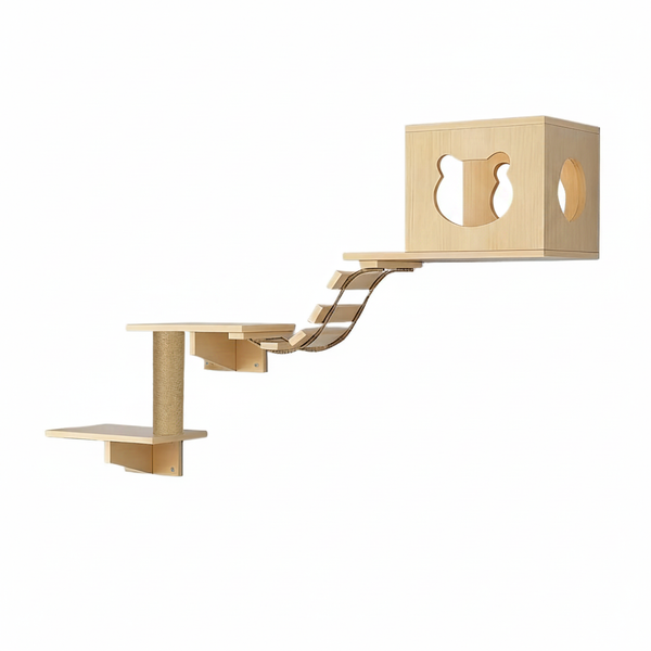 Parcours pin - Fond blanc