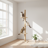 Sol-plafond beige - En situation
