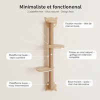 Étagères murales - Anatomie